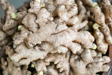 Wall Mural - Fresh organic ginger on fresh market in thailand, fresh ginger plant farm harvest ginger root on field agricultural for sold in the market