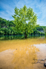 Fototapete - Tennessee Vally River Mountains Reflections blue sky