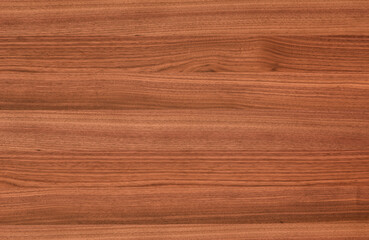 Wall Mural - background of Walnut wood surface