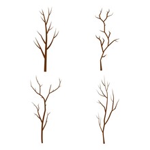 Set Of Vector Silhouettes Of Tree Branches, On A White Background