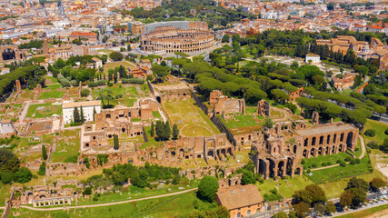 Wall Mural - Aerial view of Colosseum and Palatine Hill in the historic center of Rome, Italy. According to the legend, it is from this hill that the history of Rome began. 