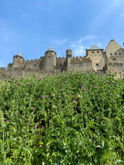 Wall Mural - Château Comtal de la cité médiéval de Carcassonne, Occitanie