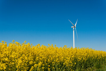 Sweden, Kristianstad – May 17, 2022: Huge wind turbines, electrical energy generators in a field outdoors, blue sky. 