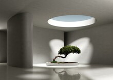 3d Render Of A White Empty Large Space With A Bonsai Podium On A Concrete Floor And A Round Central Hole In The Ceiling