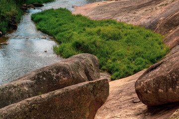 Wall Mural - river in the forest