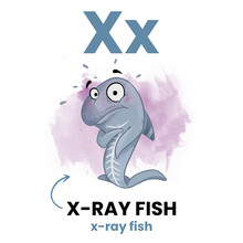 X Letter Animal Flashcard, X-Ray Fish Character Illustration For Children Education. Learn Alphabet Easily