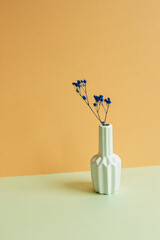 Wall Mural - Vase of blue dry flowers on table. orange background