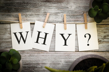 Wall Mural - The Word WHY Concept Printed on Cards