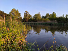 Evening Fishing, Morning Fishing On The Pond. Evening Fishing And Morning Fishing. Camping With A Fishing Rod Stock Image