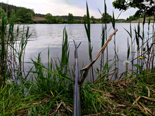Fishing On The Pond. Fishing On The Pond. Fishing On A Fishing Rod Stock Image