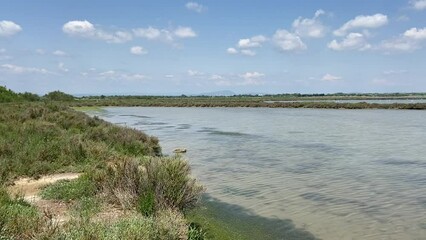 Sticker - Etang de l’Arnel, Occitanie