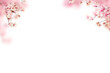 Blooming spring branch overlays, blossom, flowering trees, pastel spring summer, photo overlay, png