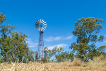 Low View Of Windmill And Gumtrees On A Farm.