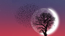 Silhouette Of Birds With Lone Dead Tree And New Moon Against Amazing Sunset "Elements Of This Image Furnished By NASA"