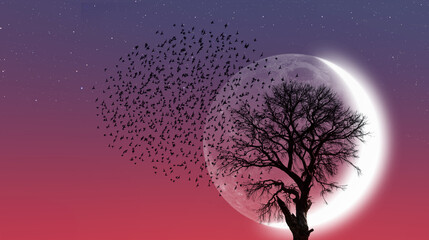 Aufkleber - Silhouette of birds with lone dead tree and new moon against amazing sunset 