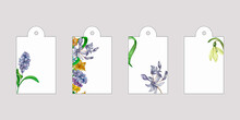 Set Of Tags With Purple Flowers Watercolor Illustration Isolated.