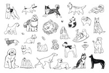 Dogs Funny Pets Vector Illustrations Set