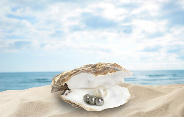 Wall Mural - Open oyster shell with pearls on sandy beach near sea