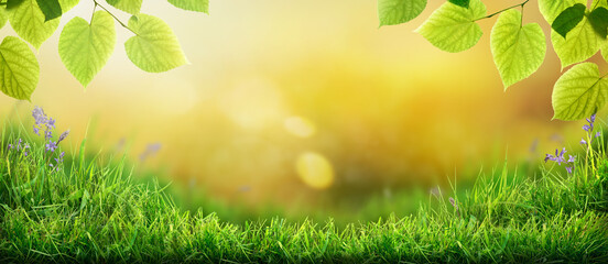 Wall Mural - a wooden table product display with warm sunset summer garden background of green grass, leaves and 
