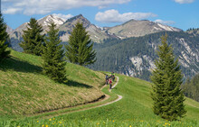 Group Of Three Active Seniors Riding Their  Electric Mountain Bikes In The Lech Valley Mountains Near Reutte In Tirol, Austria