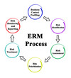 © Dmitry - Enterprise Risk management (ERM) Process
