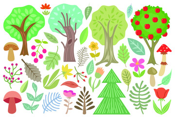 forest trees and plants collection, isolated on white background, botanical set with mushrooms, flowers, berries, leaves, trees, branches vector illustration.