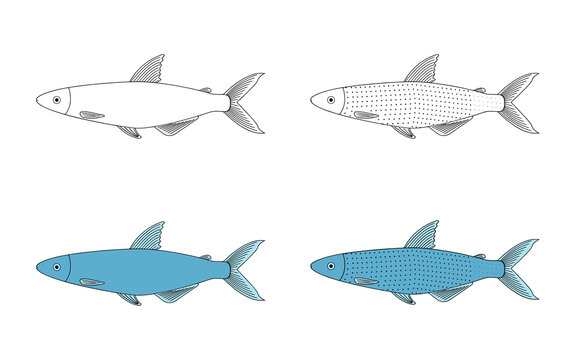 Alestes fish doodle vector illustrator isolated on white background.