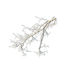 Wall Mural - Winter frozen tree branch Photo element s, Photoshop element , pine icy snow branch, png