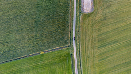 Wall Mural - Aerial view drone shot of fresh green field in Spring near Brecht by Antwerp, Belgium with curvy road between fields. High quality photo