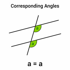 Wall Mural - angles in parallel lines. corresponding angles
