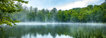 Foggy Lake View With Trees