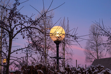 Luminous street lamp in winter landscape 2