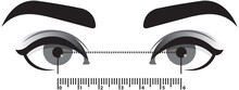 Interpupillary Distance Measurement Template. Stylized Close Up Of The Eyes To Determine The Distance Between The Eyes. Help For The Selection Of The Size Of Glasses. Vector Black And White Monochrome