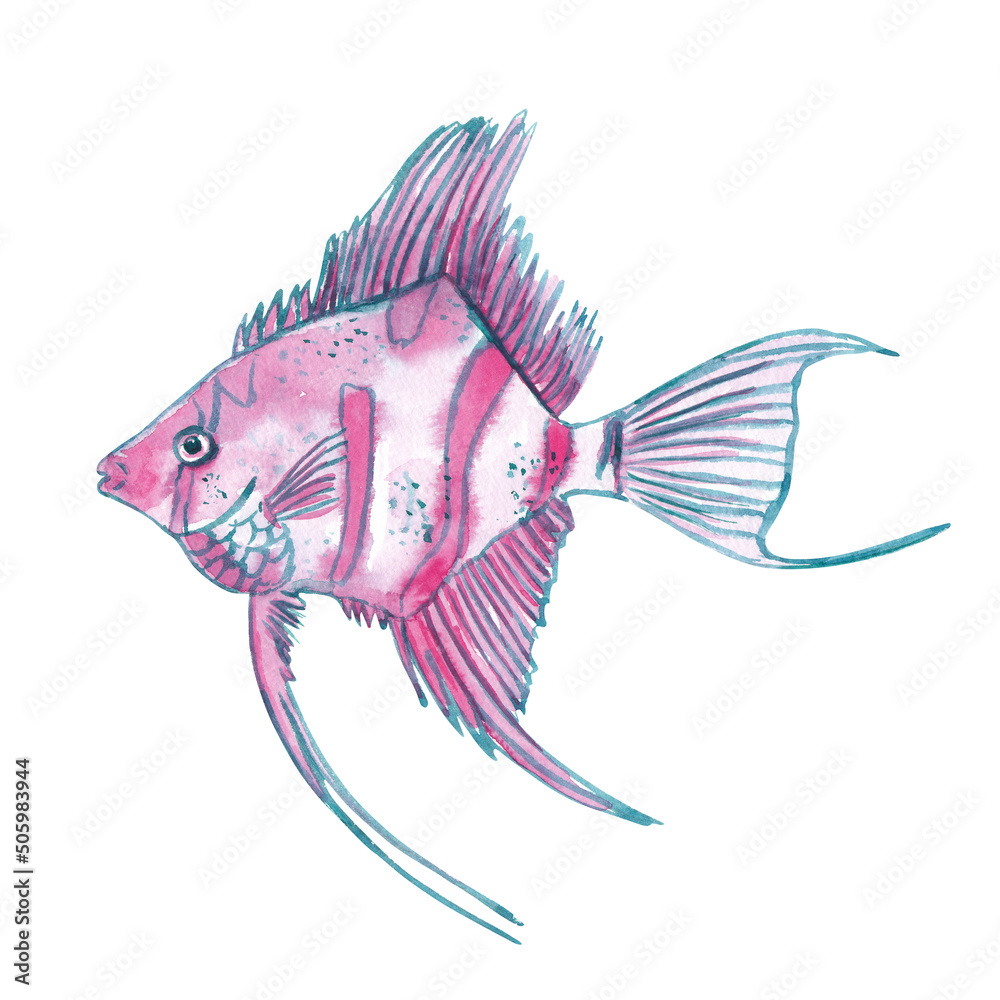 Watercolor angelfish clipart. Illustration isolated on white. Hand ...