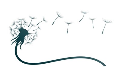 Sticker - The symbol of field dandelion flower with flying seeds. 
