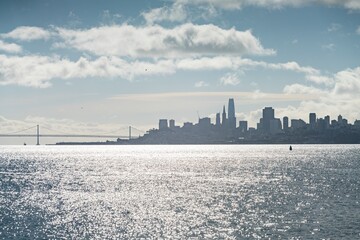 Wall Mural - The San Francisco Skyline in California USA during the day