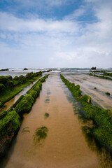 Wall Mural - long exposure view of Flysch rock formations at low tide at Barrika beach near Bilbao