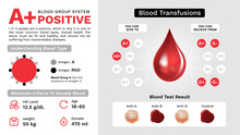 A Positive Blood Group Characteristics And Additional Information Vector Image Design