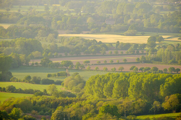 Wall Mural - Fresh Green Colours of Farming Fields at Spring in UK