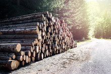 A Pile Of Sawn Tree Logs Next To A Forest Road.