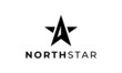 north star logo vector icon illustration. modern style