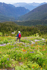 Canvas Print - In hike