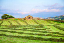 Mowed Field With A Barn In The Background