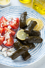 Wall Mural - Close-up of greek dolmades or grape leaves stuffed with rice and meat served on a blue and white plate, vertical shot, selective focus