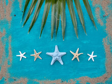Green Palm Leaf And Several Dry Starfish On Aquamarine Background