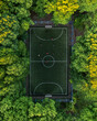 Top view of a soccer field in the forest, tall trees around the stadium