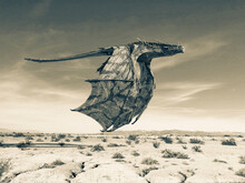Monster Dragon On Desert Is Passing By