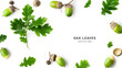 Leinwandbild Motiv Oak leaves and acorns creative layout.