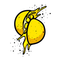 Splashing sliced lemon cartoon vector illustration. Fresh, sour fruit drawing