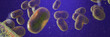 canvas print picture Monkeypox virus, infectious zoonotic disease 
